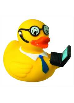 Canard sonore notebook